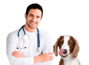 Empresa – FUERTE CARE SAS | importación y distribución de equipos médicos  veterinarios